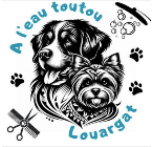 Capture d’écran 2025-12-18 à 09.37.57